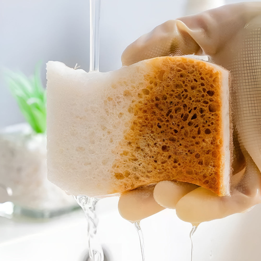EcoClean | Coconut Fiber Natural Dish Sponge