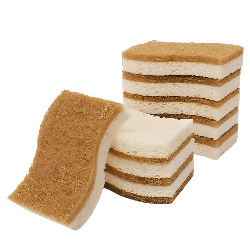 EcoClean | Coconut Fiber Natural Dish Sponge