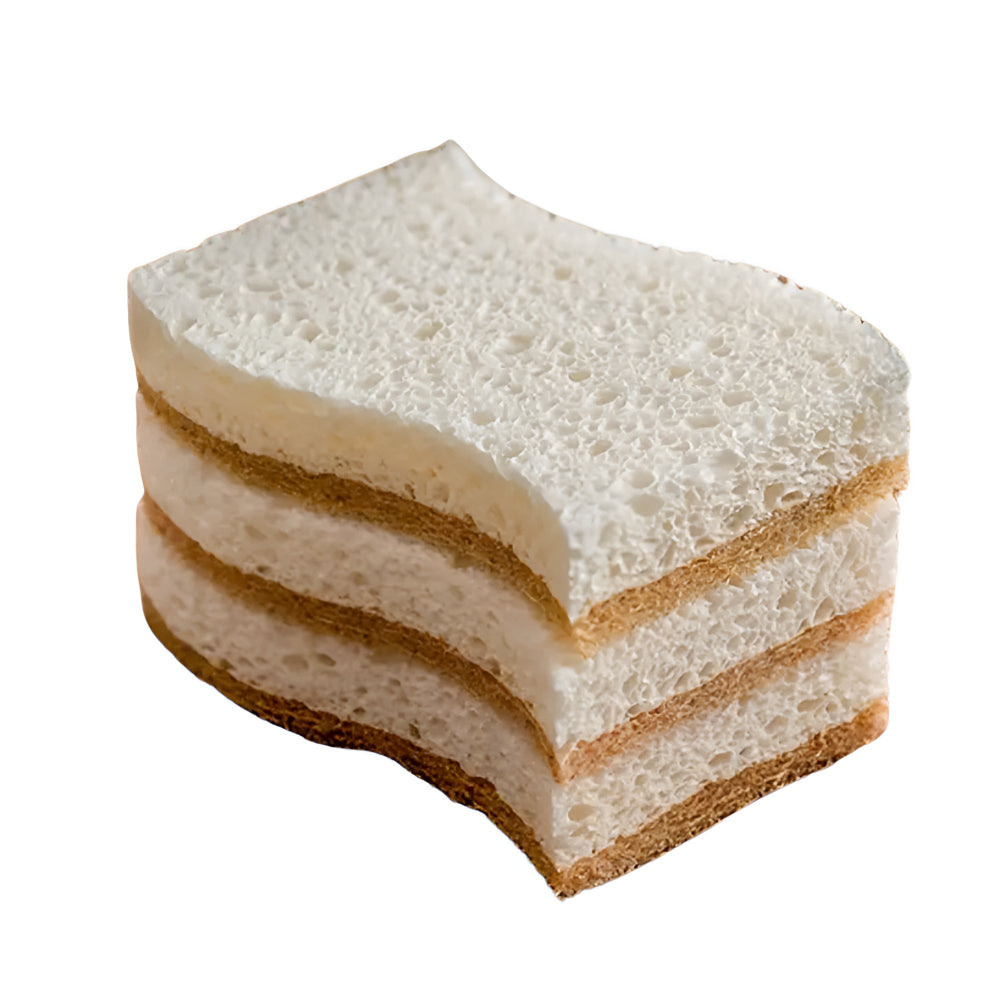 EcoClean | Coconut Fiber Natural Dish Sponge
