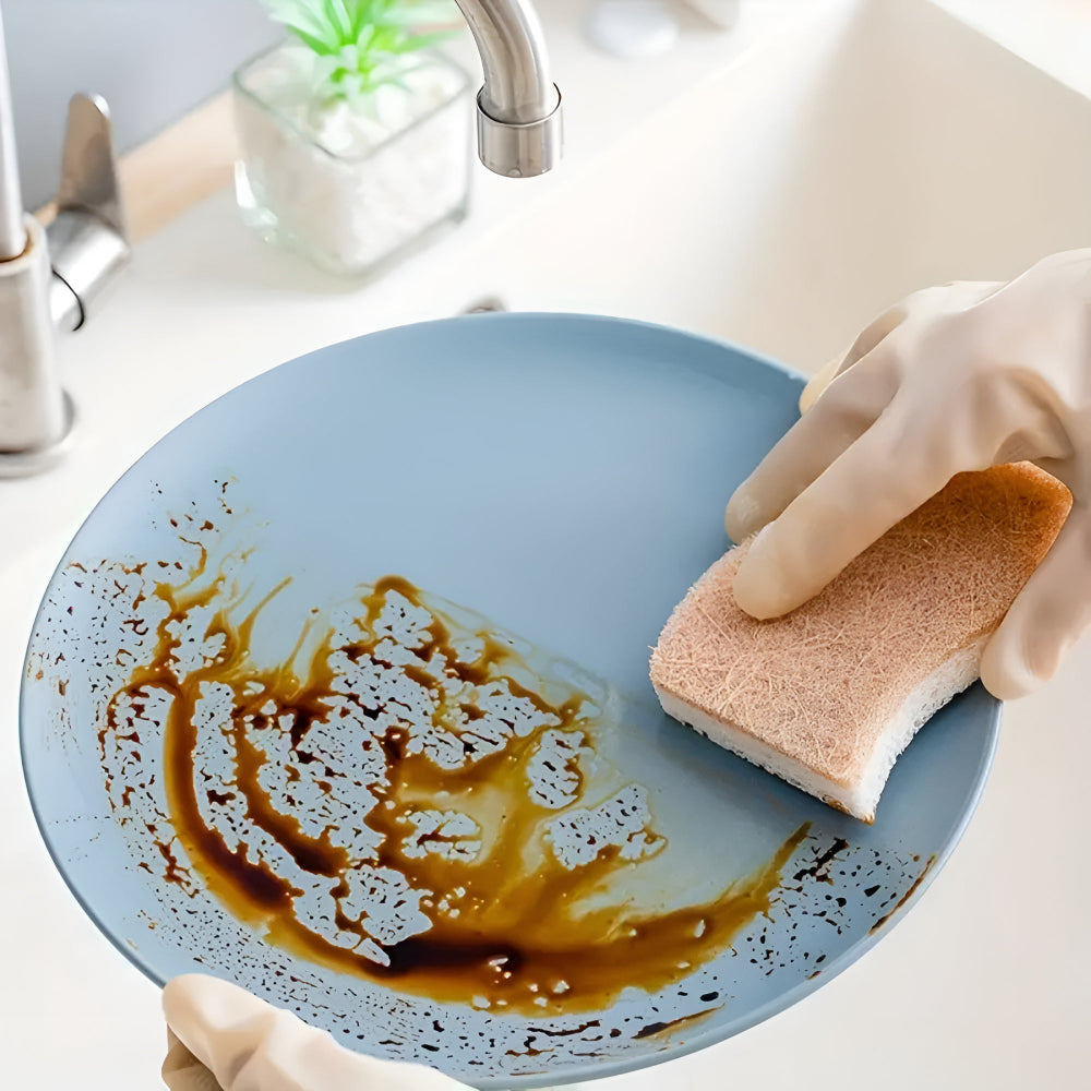 EcoClean | Coconut Fiber Natural Dish Sponge