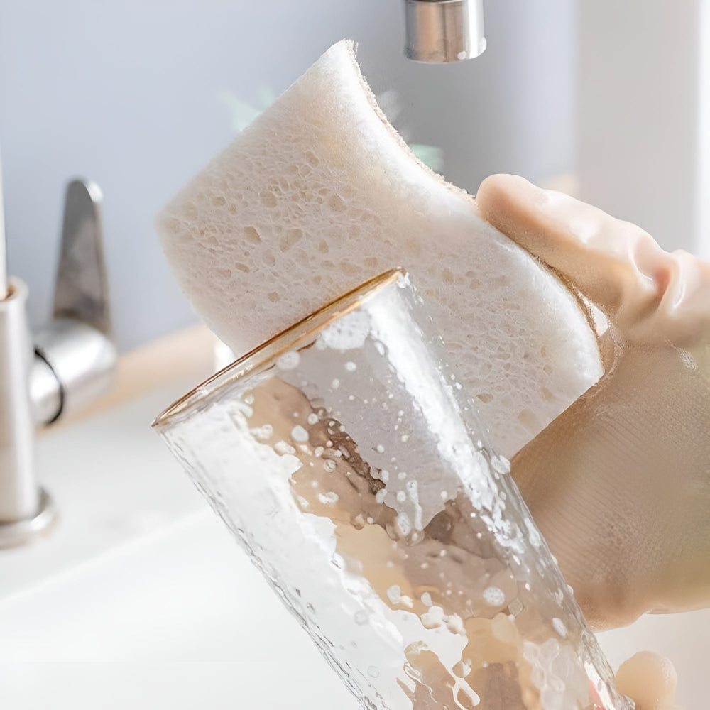 EcoClean | Coconut Fiber Natural Dish Sponge