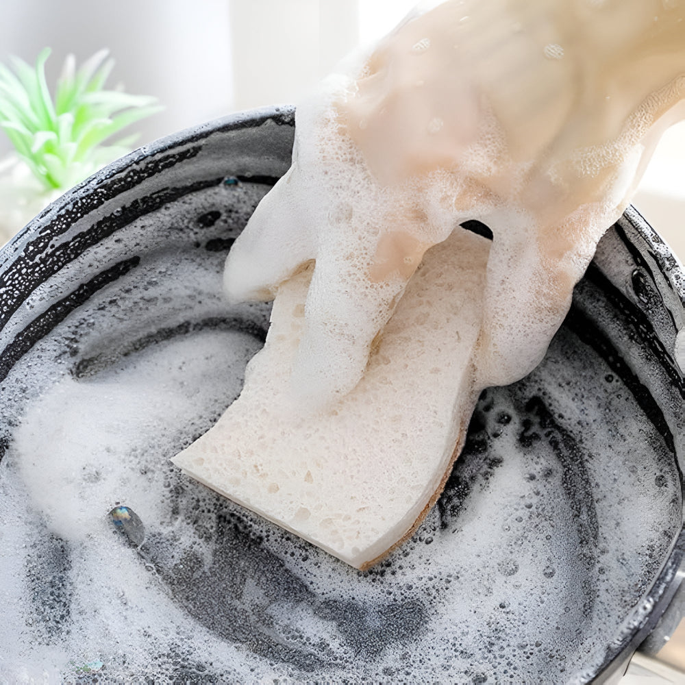EcoClean | Coconut Fiber Natural Dish Sponge