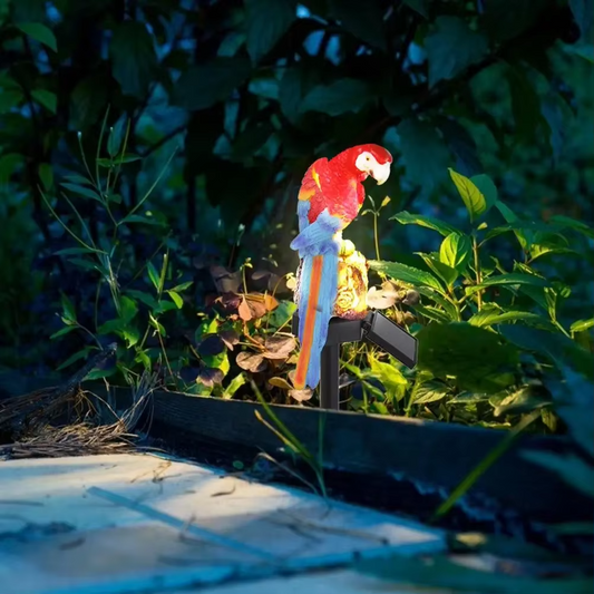 ParrotGlow Solar Garden Lights | Tropical Parrot Decorative Lamps