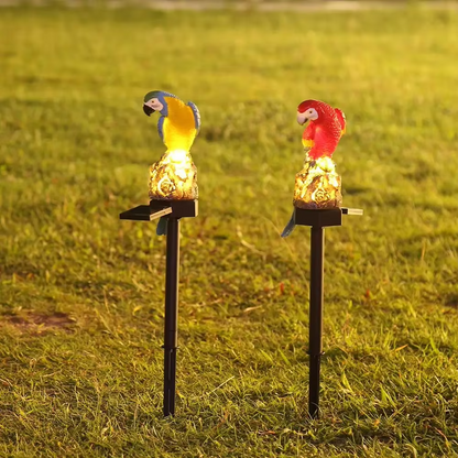 ParrotGlow Solar Garden Lights | Tropical Parrot Decorative Lamps