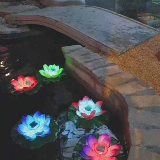 Solarrose | Enchanting Floating Fountain For Gardens And Ponds